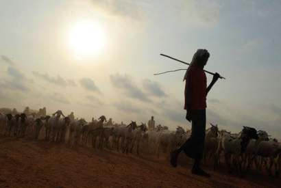 A Somali shepherd in Kenya
