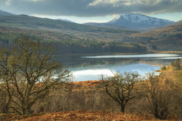 Proper walking country: the Cairngorms