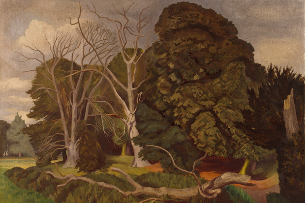 ‘The Fallen Tree’, 1951, by John Nash