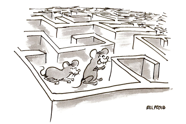 ‘Success is just around the corner.’