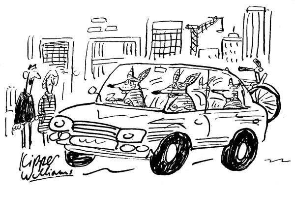 ‘The foxes round here are so urban that they go to the country at weekends.’