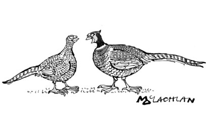 ‘I’m game if you are.’