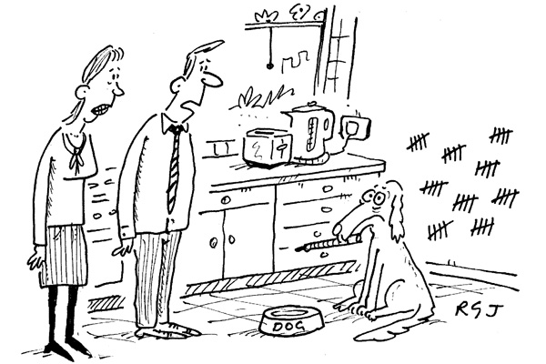 ‘You know, I’m beginning to think the dog doesn’t like being locked up in here while we’re at work all day.’