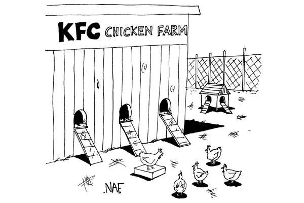 ‘We’re still looking into it, but we’re pretty sure it stands for “Kind, Friendly, Courteous” chicken farm.’