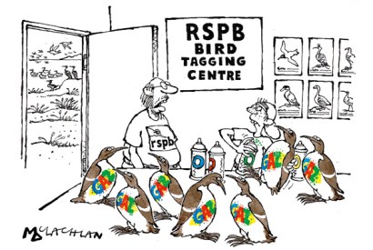 ‘Am I right in thinking that this is the first time you’ve done tagging, Gary?’