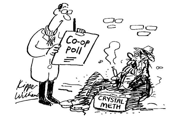 ‘I’m not sure I’m the right person to ask.’