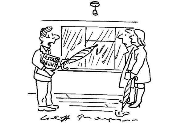 ‘The property has some unique features: a sunken garden, sunken garden shed, sunken patio…’