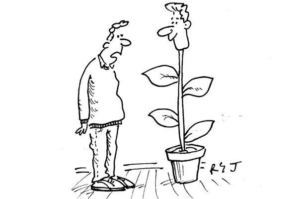 ‘So exactly what kind of stem cells did they use in your therapy?’