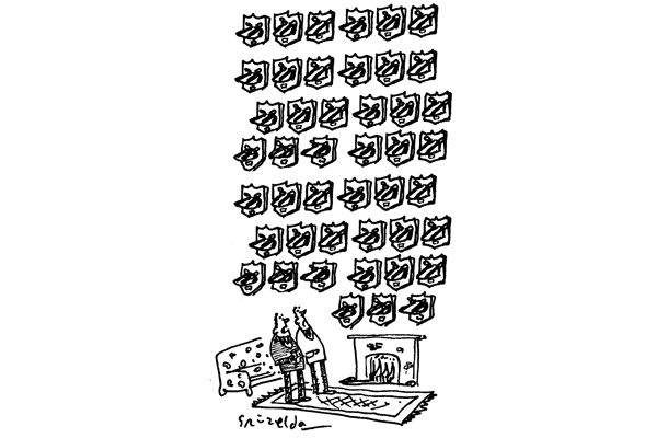 ‘The cull’s been a disaster.’