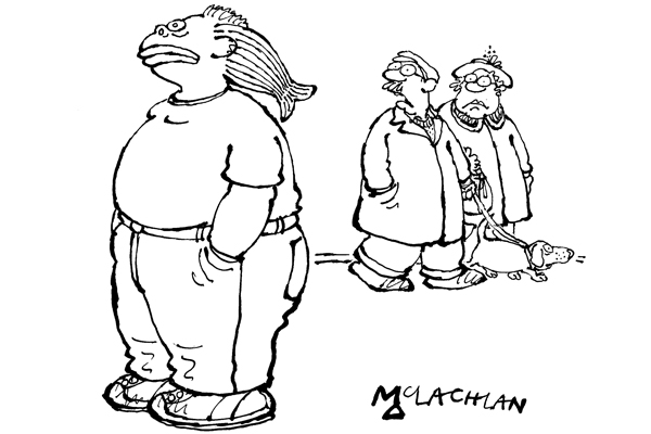 ‘Now that’s a real mullet.’