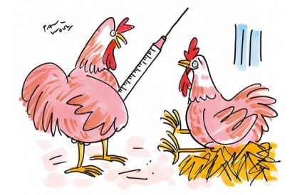 ‘Are you sure about this? Most hens opt for a natural birth.’