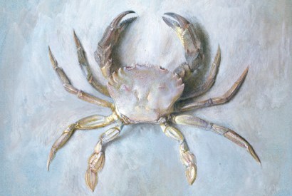 ‘Study of a Velvet Crab’ c. 1870, presented by John Ruskin to the Ruskin School of Drawing (University of Oxford) in 1875