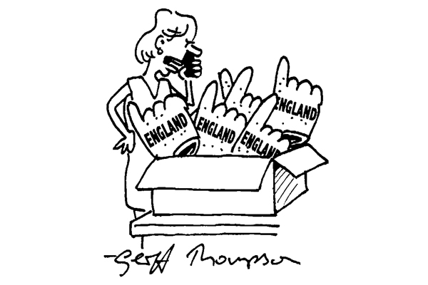 ‘Online home delivery? About those sponge fingers I ordered…’