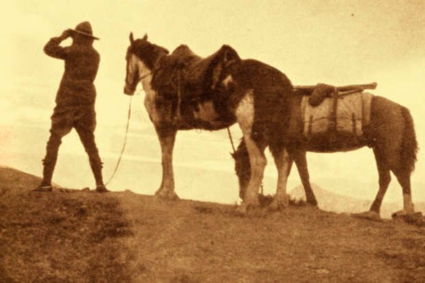 Aimé Tschiffely with Mancha and Gato. The strongest emotional bonds he formed on his epic journey were with his horses