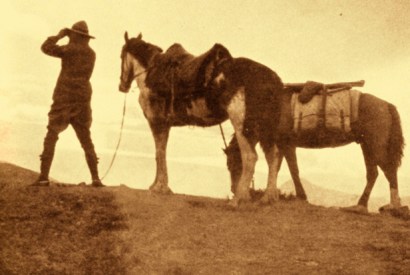 Aimé Tschiffely with Mancha and Gato. The strongest emotional bonds he formed on his epic journey were with his horses