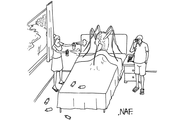 ‘Hello, reception. Can you send up more mosquito repellent, please.’