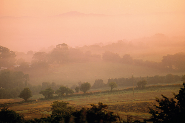 A place to sit and dream: Co. Wexford