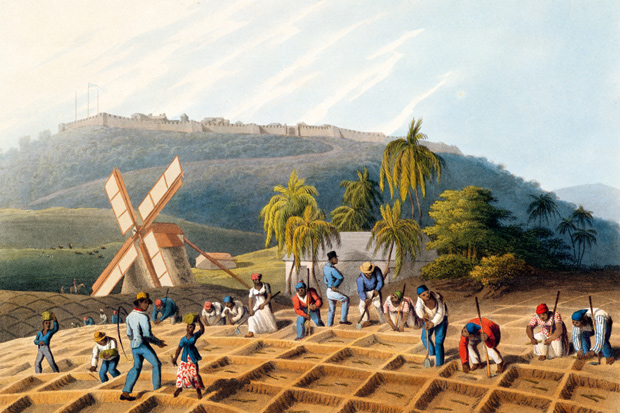 Slaves planting cane cuttings in Antigua, 1823, by William Clark