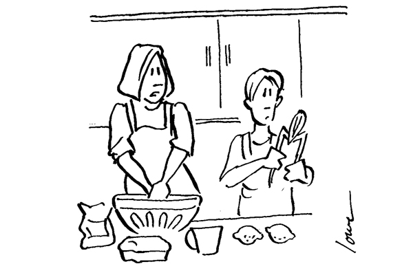 ‘Not that one, dear — that’s the design classic. Use the one that works.’