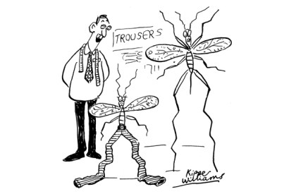 ‘He’ll grow into them, Mr Longlegs.’