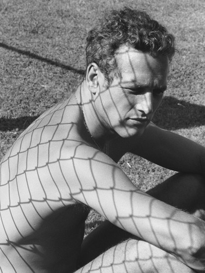 ‘Paul Newman’, 1964, by Dennis Hopper