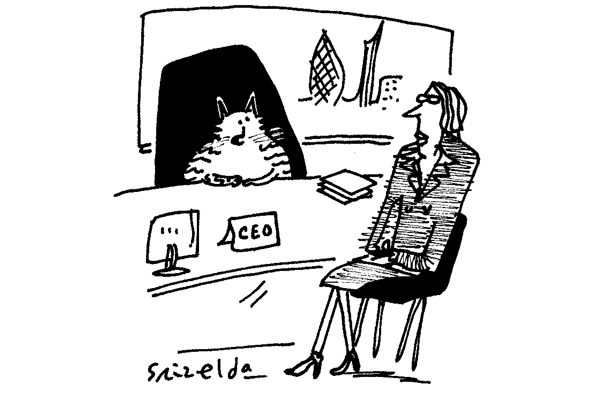 ‘Some of us are, quite literally, fat cats.’