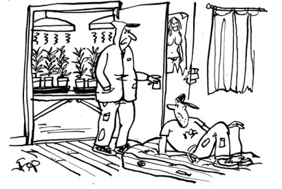 ‘Move yourself! The grass needs cutting.’