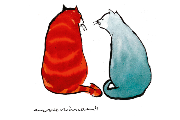 ‘You do realise we’re the only ones in this household on private healthcare.’