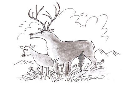 ‘I’m sure your status as Monarch of the Glen won’t be affected.’