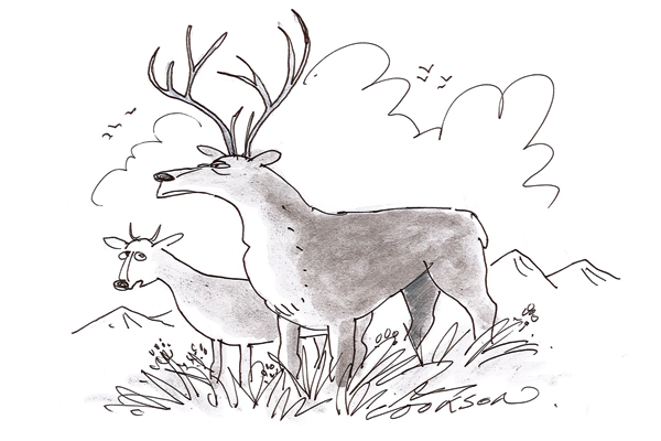 ‘I’m sure your status as Monarch of the Glen won’t be affected.’