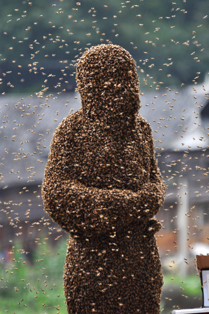 Lu Kongjiang, taking part in a ‘bee beard’ competition in Shaoyang, Hunan Province, China, 2011 From In Praise of Bees: A Cabinet of Curiosities by Elizabeth Birchall (Quiller Publishing, £30, pp. 255, ISBN 9781846891922)