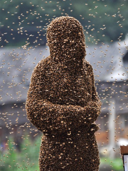 Lu Kongjiang, taking part in a ‘bee beard’ competition in Shaoyang, Hunan Province, China, 2011 From In Praise of Bees: A Cabinet of Curiosities by Elizabeth Birchall (Quiller Publishing, £30, pp. 255, ISBN 9781846891922)
