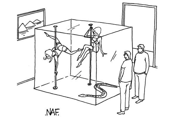 ‘I read that snakes like to live in hot environments.’