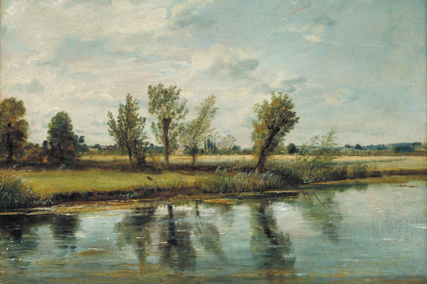 ‘Water-meadows near Salisbury’, 1829/30, by John Constable