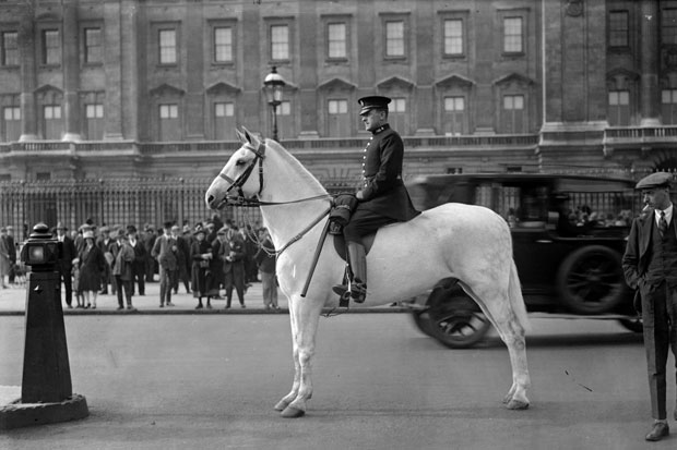 A police horse guards Buckingham Palace, 1937