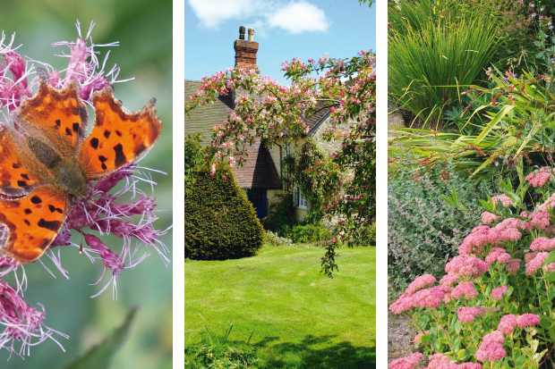 Scenes from the garden of The Hope