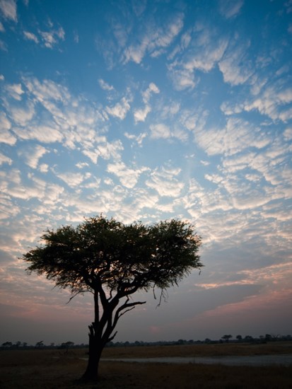 The parks are empty and the landscapes are yours