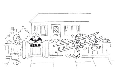 ‘He’s the best window cleaner I’ve ever had.’