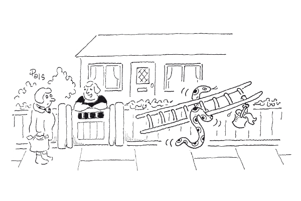 ‘He’s the best window cleaner I’ve ever had.’