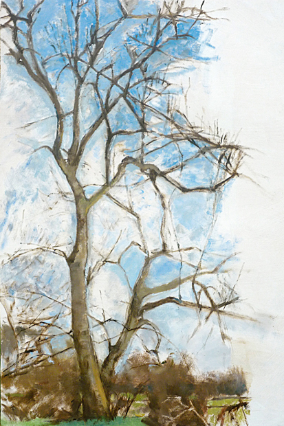‘Ash tree in Winter, 2010–13