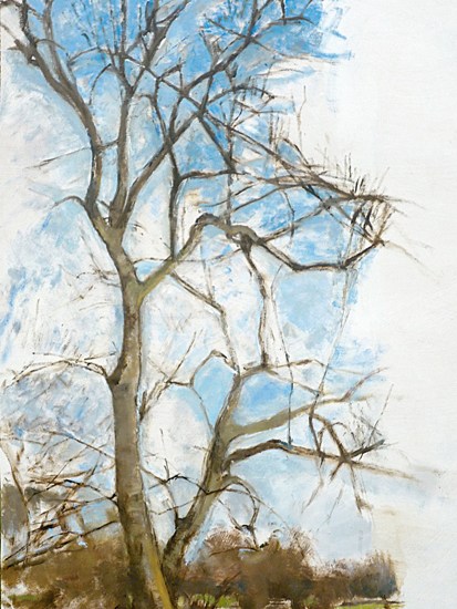 ‘Ash tree in Winter, 2010–13