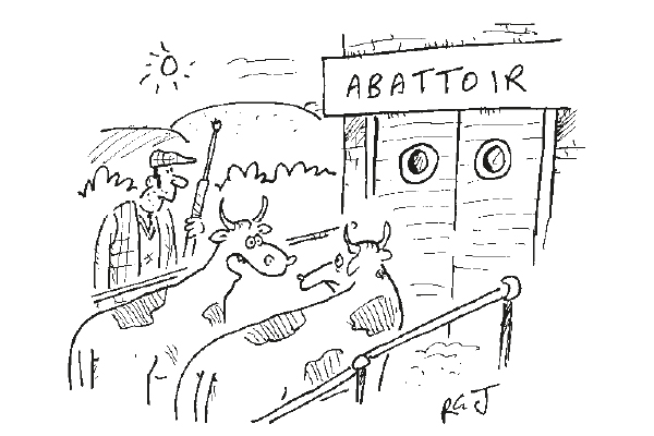 ‘This is on my list of places to see before you die.’