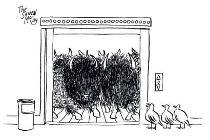 ‘No, this is flocking. Stampeding is on the 29th floor.’