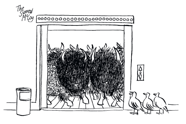 ‘No, this is flocking. Stampeding is on the 29th floor.’