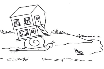 ‘Of course it was just a shell when I moved in.’