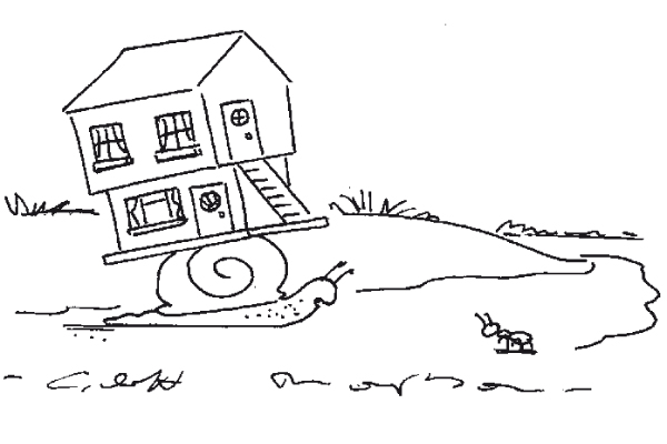 ‘Of course it was just a shell when I moved in.’