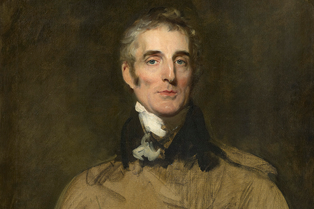 ‘Arthur Wellesley, 1st Duke of Wellington’, 1829, by Sir Thomas Lawrence
