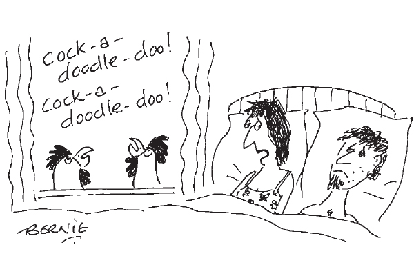 ‘You forgot to put the cocks forward.’