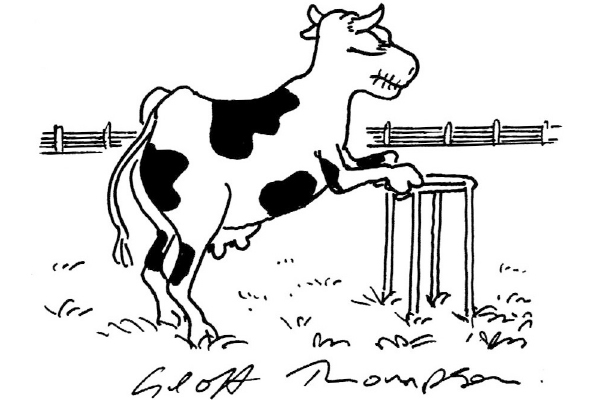 Cows that produce long-life milk