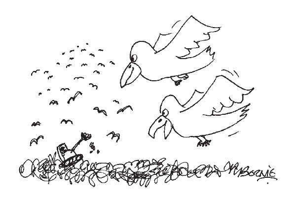 ‘You’ll love this place, it’s a dump.’